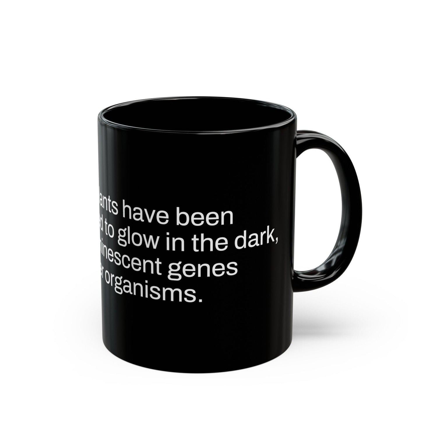 GLOW in the DARK Weed Fact - Weed Coffee Mug (11oz) - Perfect Gift for Smokers, Stoners, Growers; Wake and Bake Mug / Weed Mug / BLACK Mug